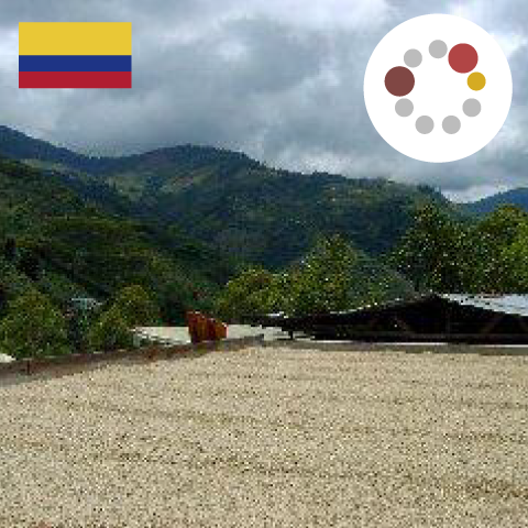 Kish Blend