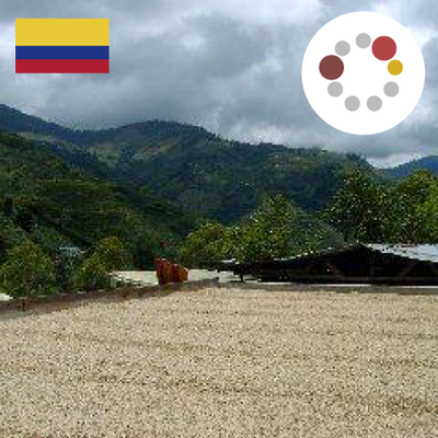 SITATERU Blend - SHIRO（タンザニア 60：インドネシア 10：コロンビア 30）