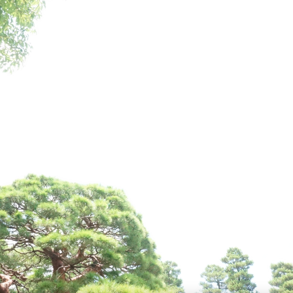 五月の一週間 Blend （エチオピア10：インドネシア20：コロンビア70）