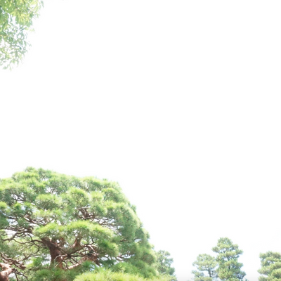 五月の一週間 Blend （エチオピア10：インドネシア20：コロンビア70）